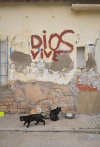 dios vive