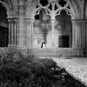 Claustro visto desde el patio