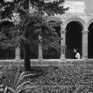 Paseando por el claustro