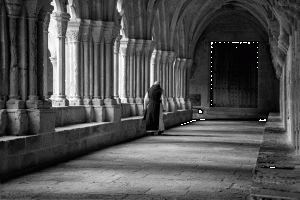 Paseo por el claustro